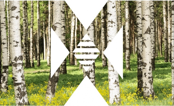 Apel de proiecte: IA-ALTFEL