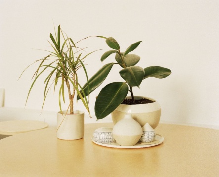 Vizită DE CERAMICĂ