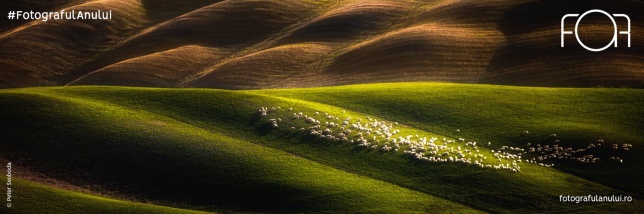 Prima ediție a concursului Fotograful Anului în România