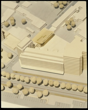 De vorbă cu Ana-Maria Goilav, Vicepreședinte OAR București