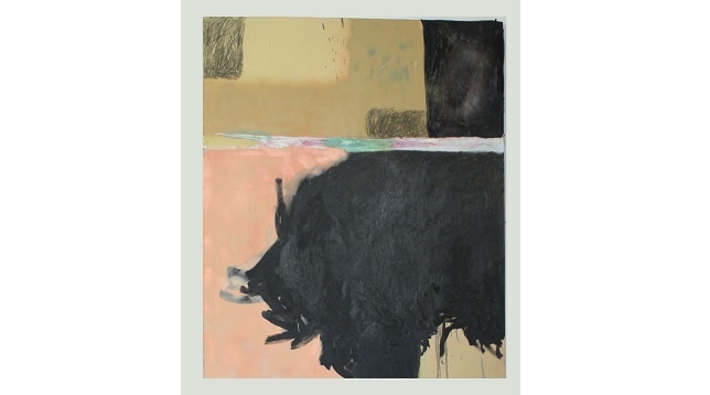 ANASTASIA CALINOVICI // DIHOTOMIE 1