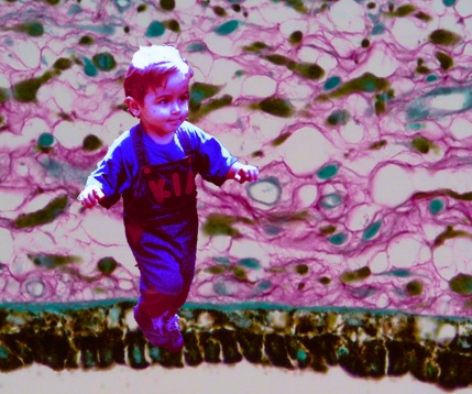 ANCA CIULUVICA // INTERMOLECULAR