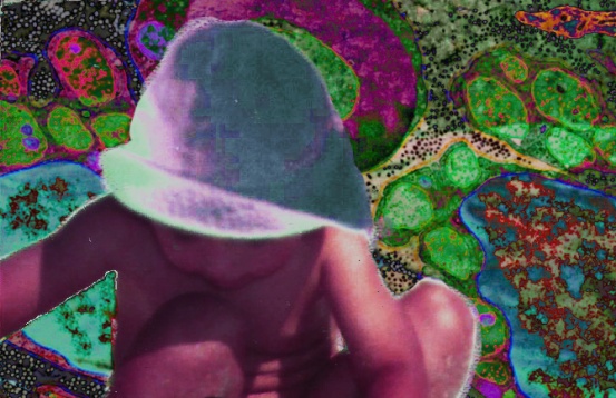 ANCA CIULUVICA // INTERMOLECULAR