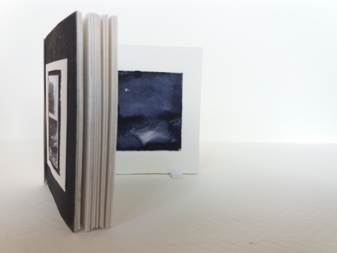 DOINIȚA ALEXANDRA DRAGOMIR // STRUCTURI NATURALE. PEISAJ