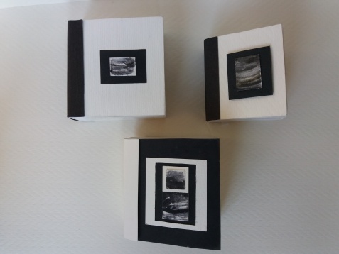 DOINIȚA ALEXANDRA DRAGOMIR // STRUCTURI NATURALE. PEISAJ