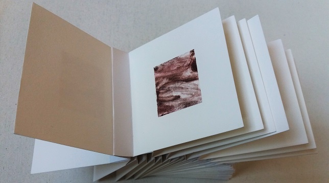 DOINIȚA ALEXANDRA DRAGOMIR // STRUCTURI NATURALE. PEISAJ