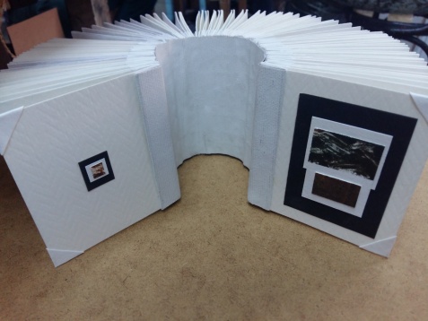 DOINIȚA ALEXANDRA DRAGOMIR // STRUCTURI NATURALE. PEISAJ