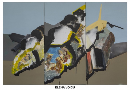 ELENA VOICU // CONFLICT