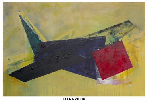 ELENA VOICU // CONFLICT