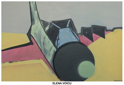 ELENA VOICU // CONFLICT