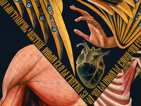 ERIC CHRISTIAN PAMBOU // ÎN CĂUTAREA DESĂVÂRȘIRII:PIATRA DIN CAPUL UNGHIULUI