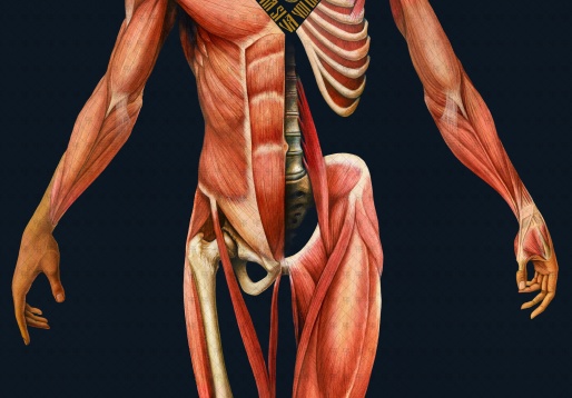 ERIC CHRISTIAN PAMBOU // ÎN CĂUTAREA DESĂVÂRȘIRII:PIATRA DIN CAPUL UNGHIULUI