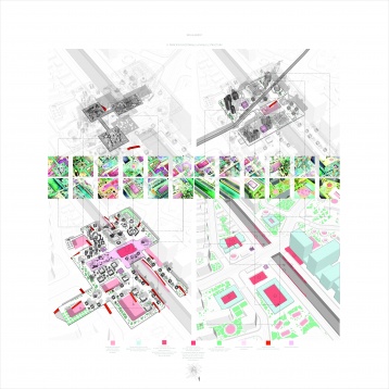 MIHNEA GRĂDINARU // PORTAL CITY