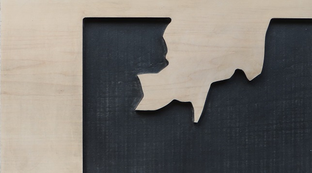 RALUCA MACOVEI // OBSERVAȚIE DUPĂ NATURĂ