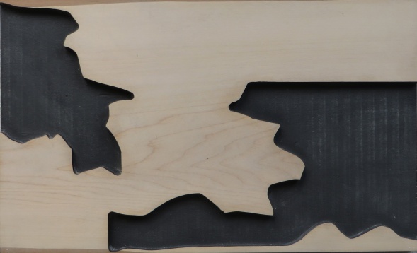 RALUCA MACOVEI // OBSERVAȚIE DUPĂ NATURĂ