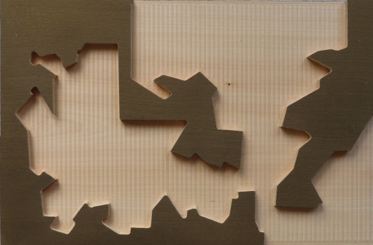 RALUCA MACOVEI // OBSERVAȚIE DUPĂ NATURĂ