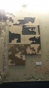 RALUCA MACOVEI // OBSERVAȚIE DUPĂ NATURĂ