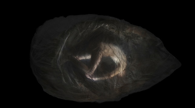 SANDRA BAZAVAN // W.O.M.B. - TRUPUL PUNCT