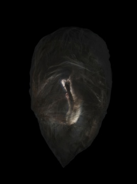 SANDRA BAZAVAN // W.O.M.B. - TRUPUL PUNCT