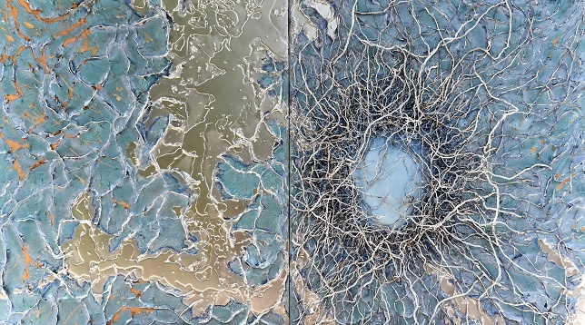 VASILICA FELICIA ROMAN // TRANSBORDER