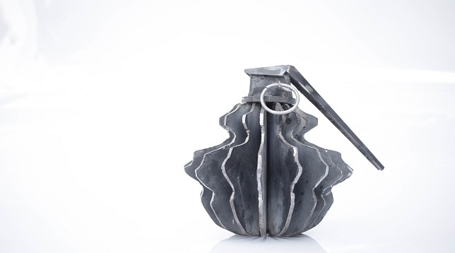 ALEXANDRU DASCĂLU // REVOLTĂ MUTĂ