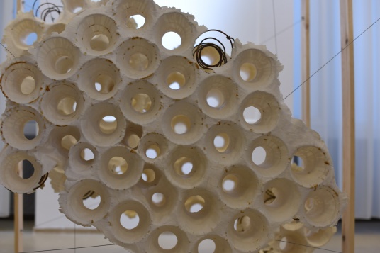 ALEXANDRU SCHIBINSCHII // ORGANIGRAMA