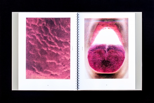 ALICE VOINEA // LEXICON POSIBIL