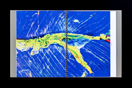 ALICE VOINEA // LEXICON POSIBIL