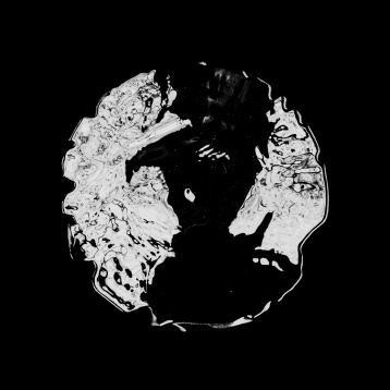 BIANCA NICU // ANIMA