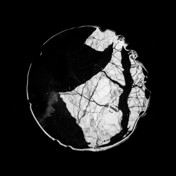 BIANCA NICU // ANIMA