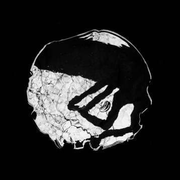 BIANCA NICU // ANIMA