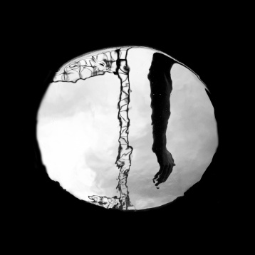 BIANCA NICU // ANIMA