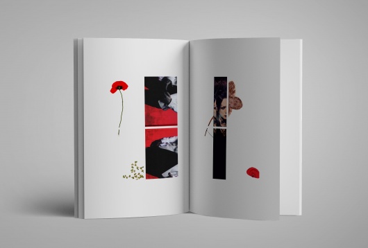 CLAUDIA MANEA // DIVISION 