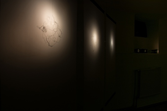 CRISTINA BODNĂRESCU // HIDROAMINTIRI