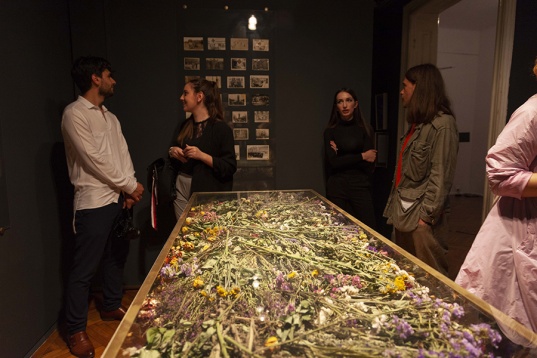 DOINA DOMENICA COJOCARU THANASIADIS // REMNANTS