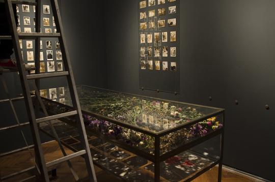 DOINA DOMENICA COJOCARU THANASIADIS // REMNANTS