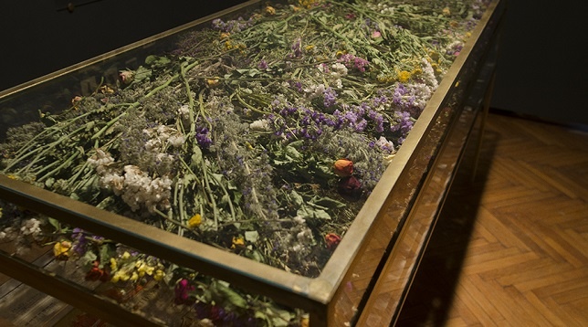 DOINA DOMENICA COJOCARU THANASIADIS // REMNANTS