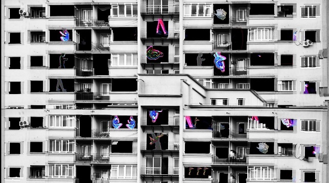 EDUARD FULOP // GREY AREA