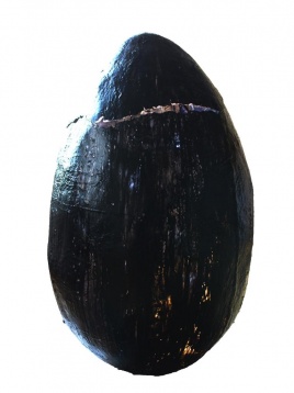 GABRIELA RAIU // UNIVERSUL ÎNTR-O COAJĂ DE OU