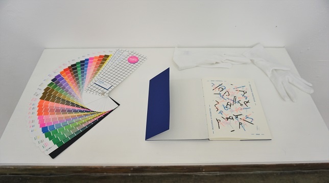 IRINA COSTESCU // ENCICLOPEDIA POSIBILITĂȚILOR