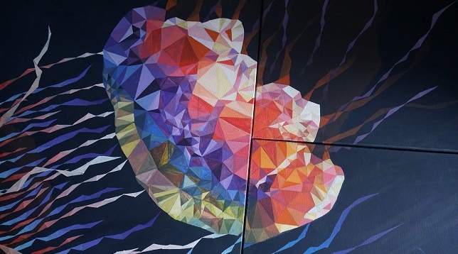 LAURA NICOLETA STOIAN // SPERANȚA DIN ADÂNC