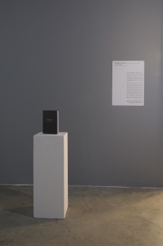 LERA KELEMEN // DISPOSITION: A PRACTICAL GUIDE TOWARD PERFORMING SPACE