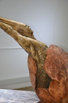 MIHAIL BOTNARI // DEVENIRE