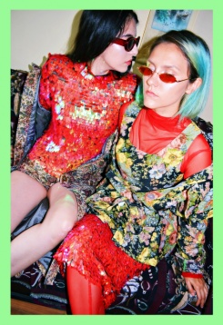 OZANA NICULAE // PSIHOVIS