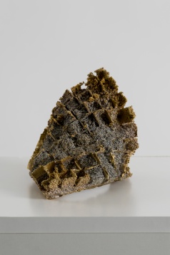 PAUL DARIUS MOLDOVAN // ORGANIC, INDUSTRAIL, NEFIRESC