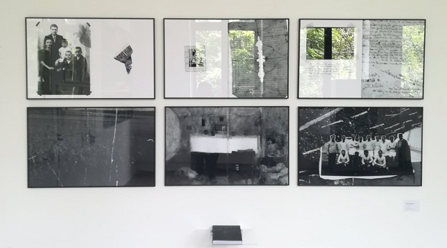 PETRA MARTIN // MEMORY LANE