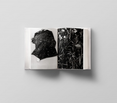 PETRA MARTIN // MEMORY LANE