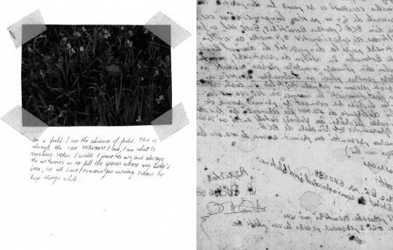 PETRA MARTIN // MEMORY LANE