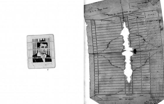 PETRA MARTIN // MEMORY LANE