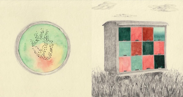 RALUCA ANGHEL // GRĂDINI INVIZIBILE | INTERSTIȚII